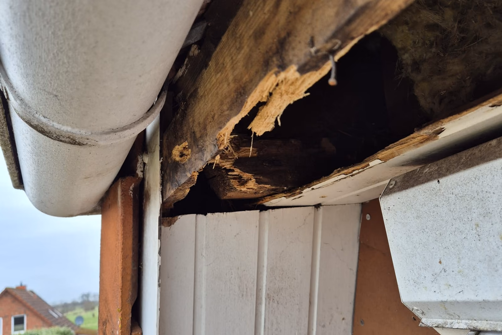 Aufgerissener Dachkasten mit morschem Holz und freiliegender Dämmung als Ausgangslage